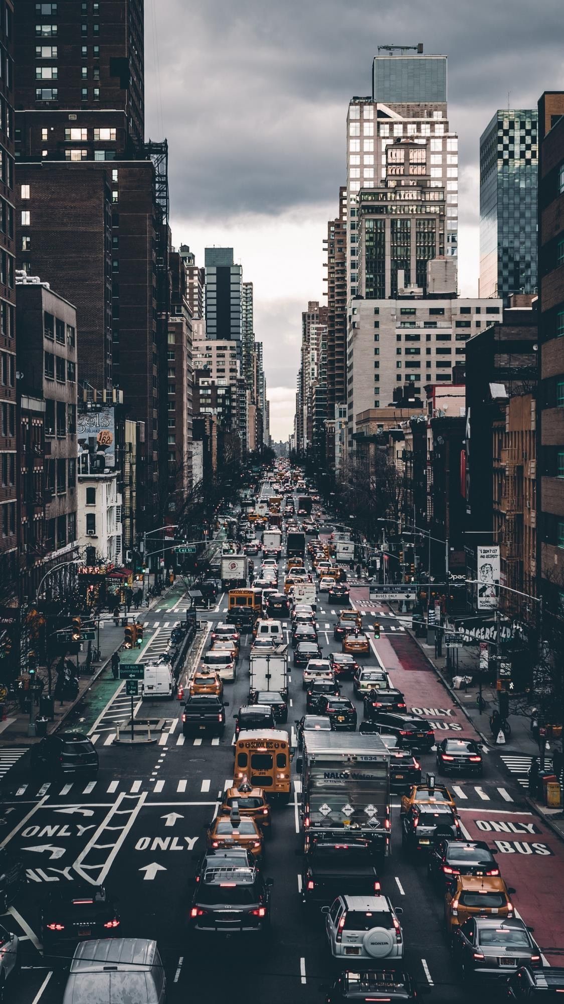 Through the Lens: Exploring the World of Cameras and Photography