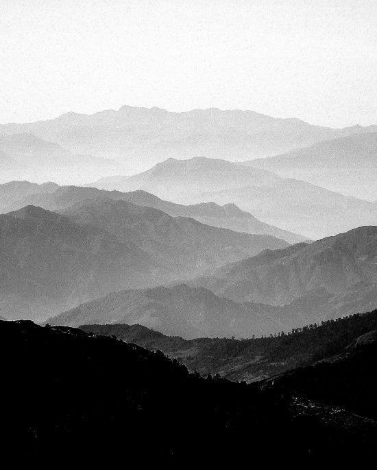 Through the Lens: Exploring the World of Cameras and Photography